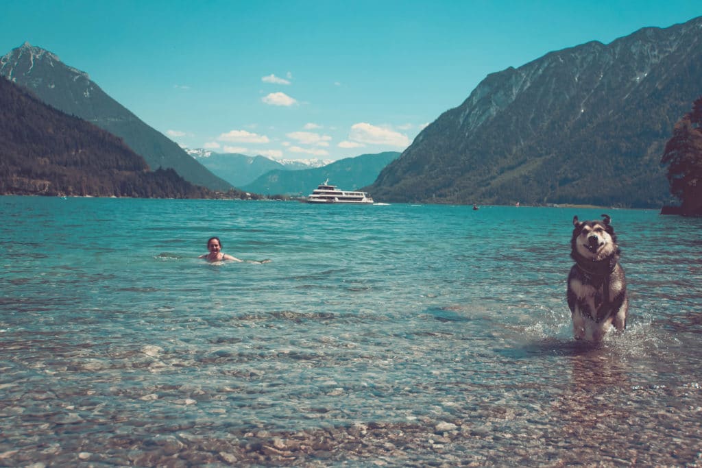 Urlaub mit Hund in Österreich / Tirol unser Reisereport